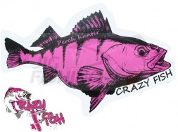 Наклейка Crazy Fish Perch Hunter 70x43mm Pink White